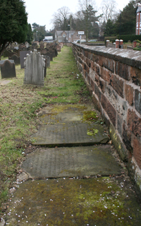 Graves on overgrown path