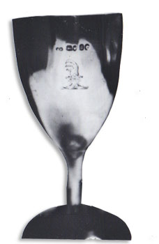 Pickering cup